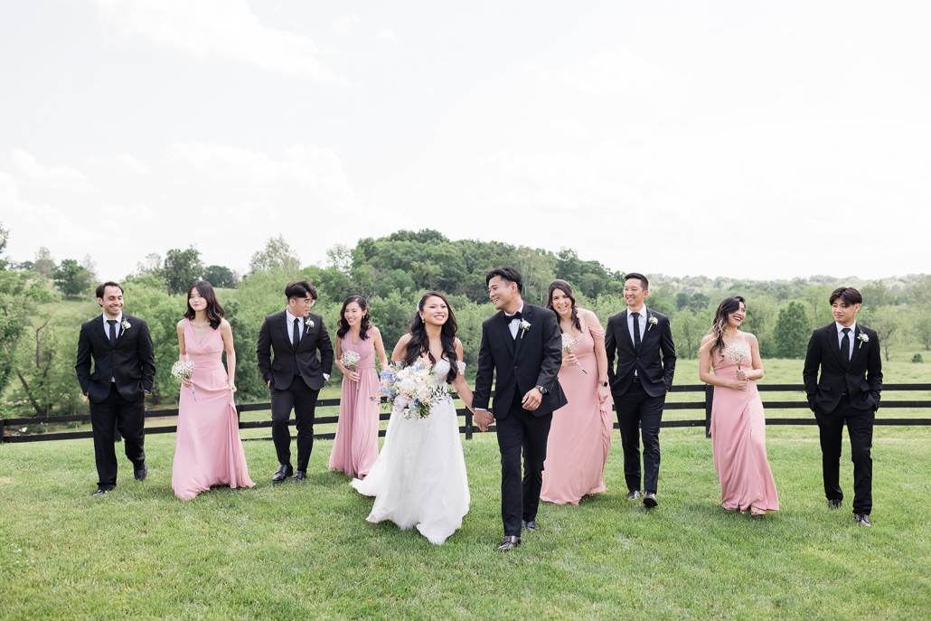 Vineyard wedding party portrait